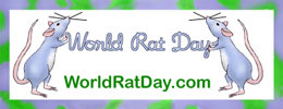 World Rat Day