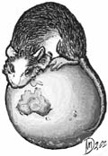 World Rat Day by Donell